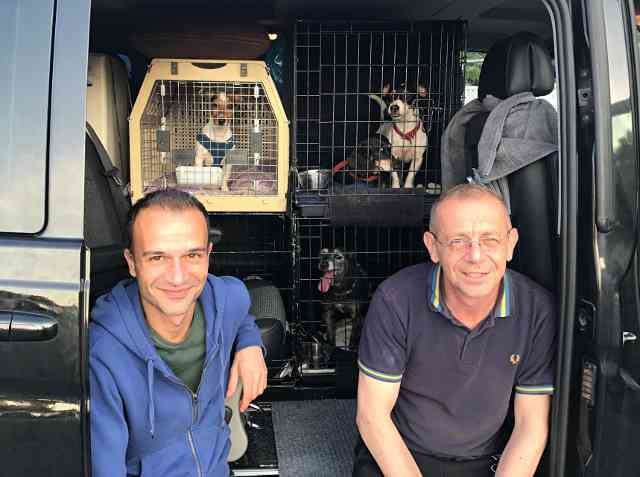 Christian and Richard, with Doreen, Misty, Chelsea and Piggy, on their journey from Blackpool to Gran Alacant.